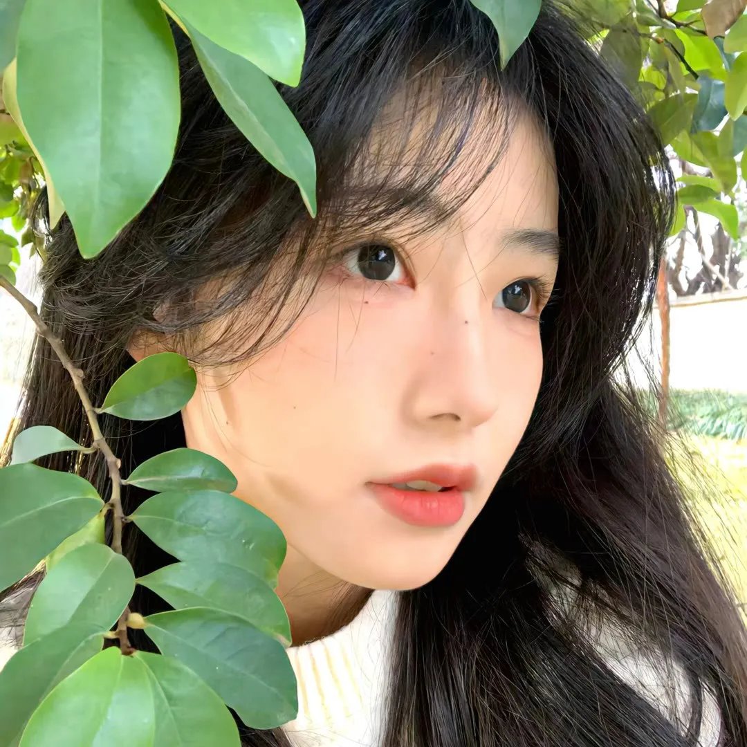 唇上之歌 海报
